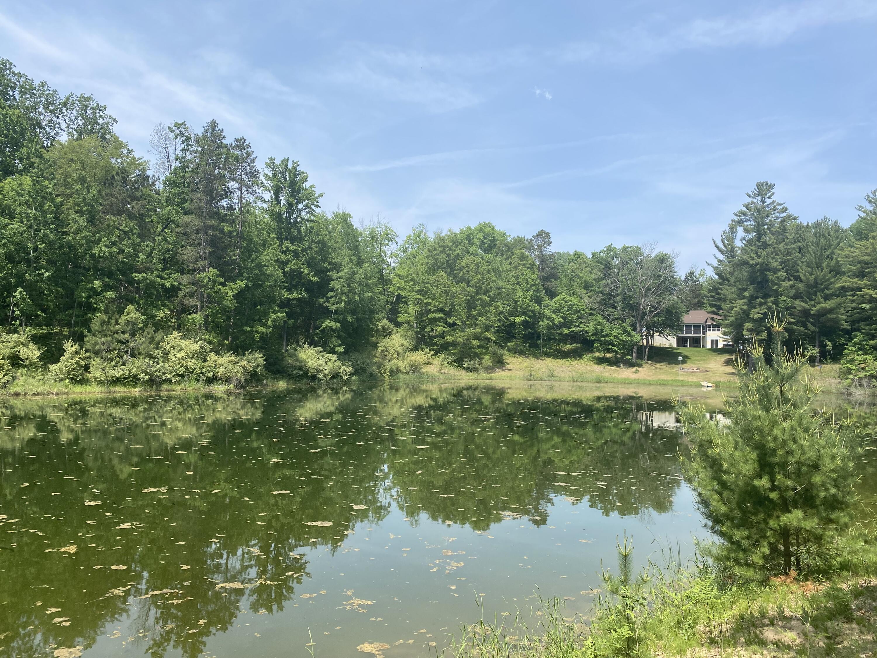 12004 Buchanan Road, Unit 4243 Stanwood, MI 49346 - Photo 2 of 7 Lot 43