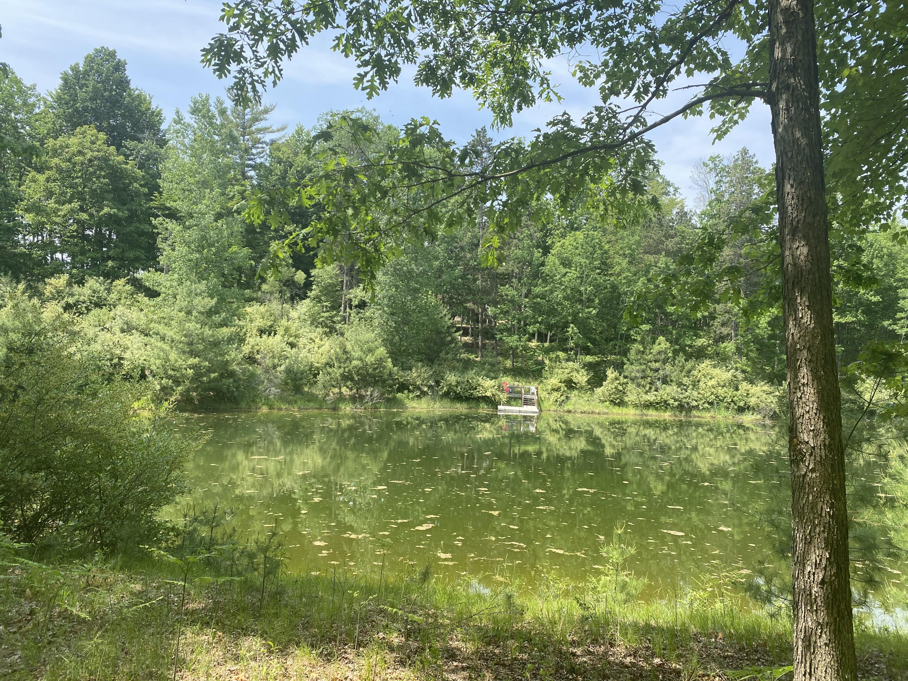 12004 Buchanan Road, Unit 4243 Stanwood, MI 49346 - Photo 3 of 7 lot 42