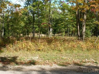 12004 Buchanan Road, Unit 4243 Stanwood, MI 49346 - Photo 5 of 7 Primary Photo