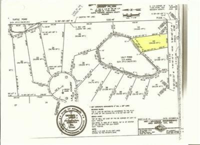 12004 Buchanan Road, Unit 4243 Stanwood, MI 49346 - Photo 6 of 7 Additional Photo