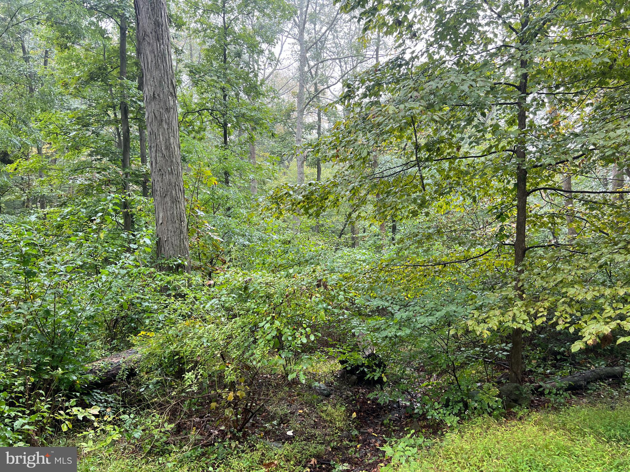 4-0 Tower Road Smithsburg, MD 21783 - Photo 2 of 8