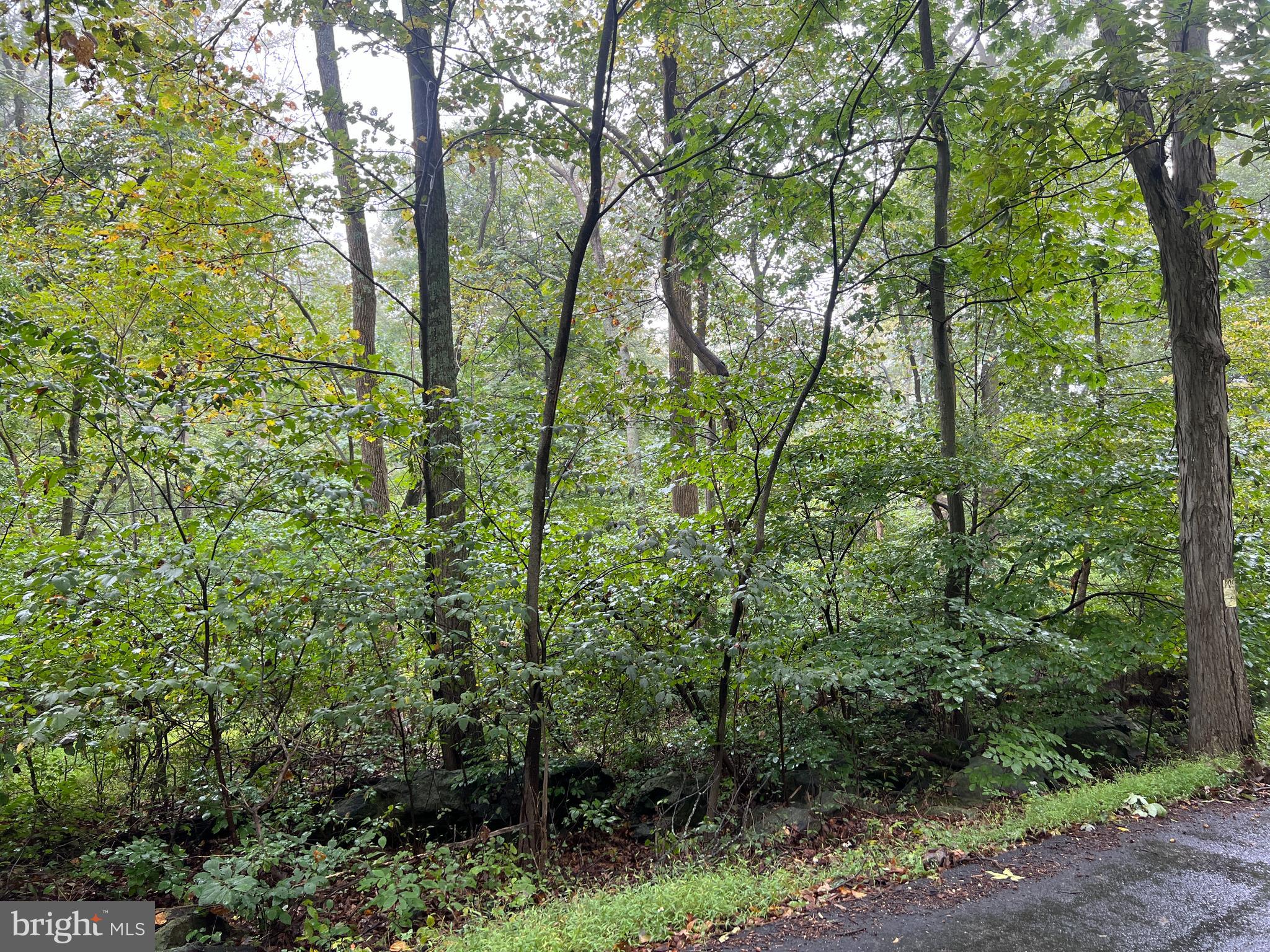 4-0 Tower Road Smithsburg, MD 21783 - Photo 6 of 8