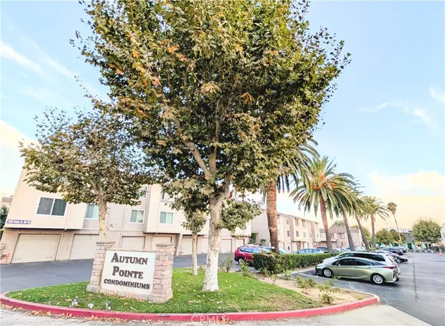 a close up of a plant in a garden