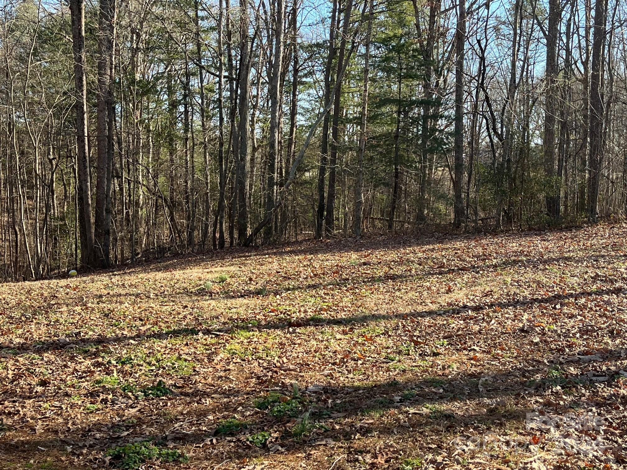 7449 George Hildebran Road Hickory, NC 28602 - Photo 23 of 23 Gallery Image 23