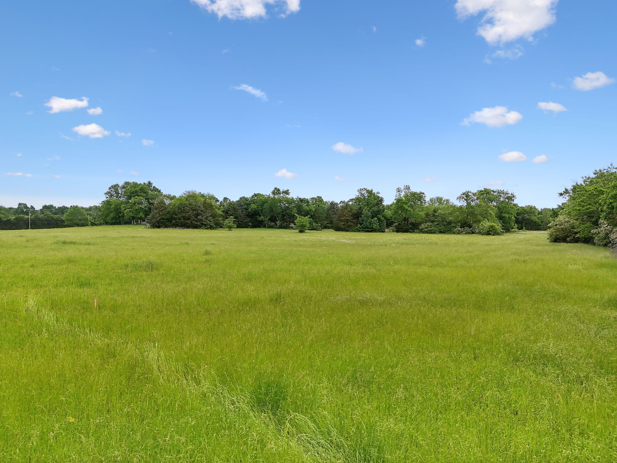 8076 Newtown Road Rockvale, TN 37153 - Photo 7 of 22 a view of a green field with lots of green space