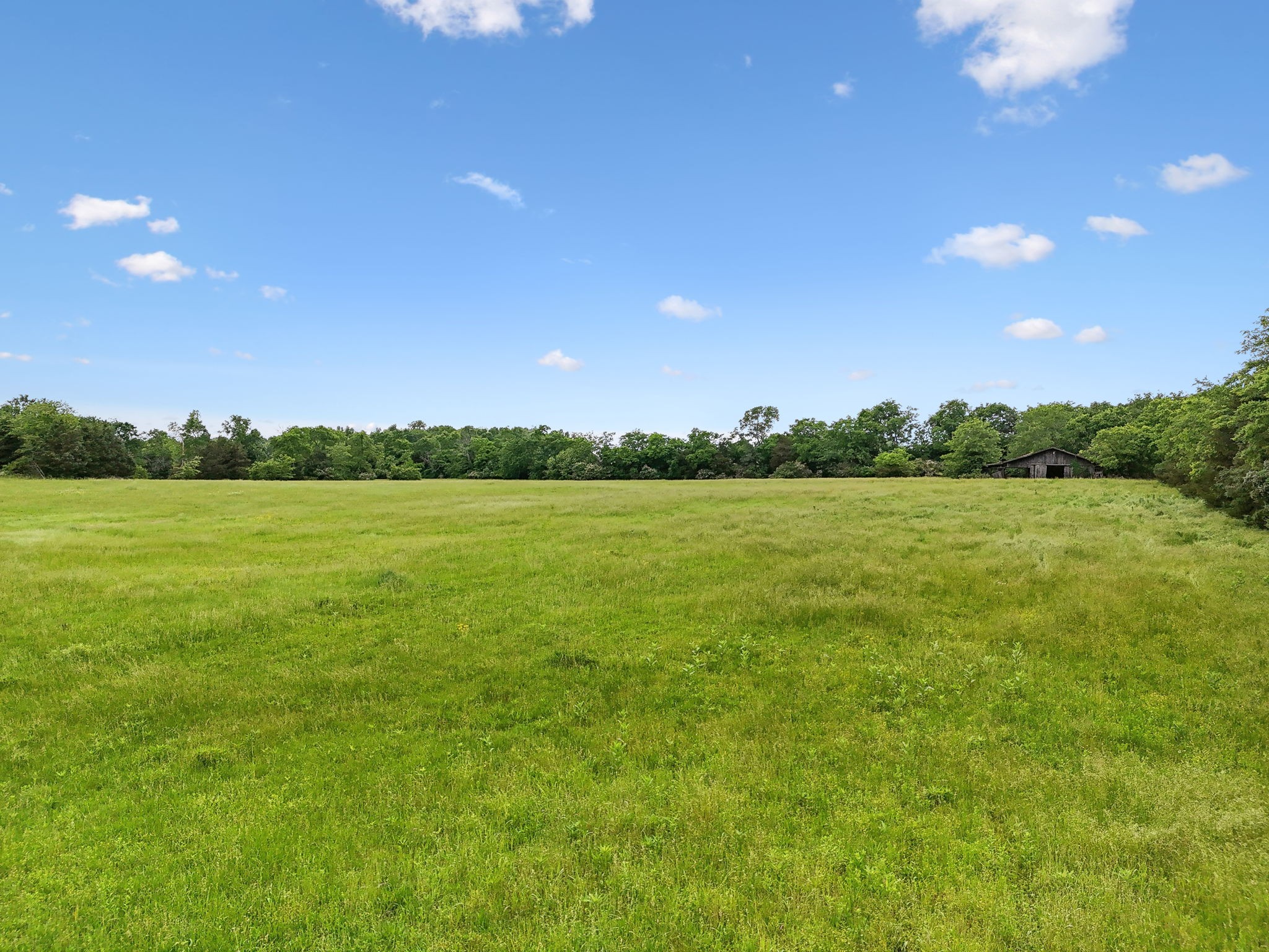 8076 Newtown Road Rockvale, TN 37153 - Photo 9 of 22