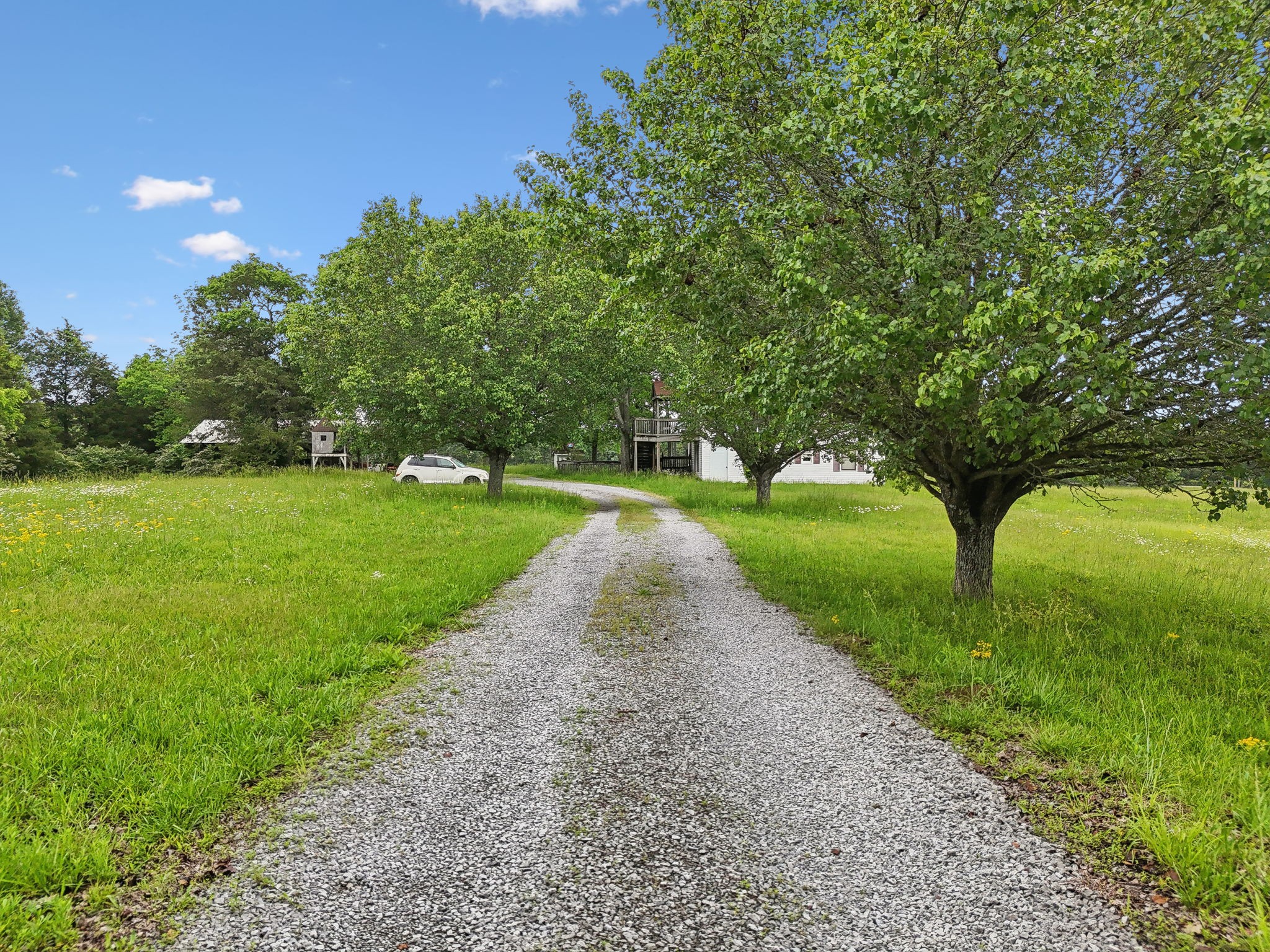 8076 Newtown Road Rockvale, TN 37153 - Photo 10 of 22 a view of a park with large trees