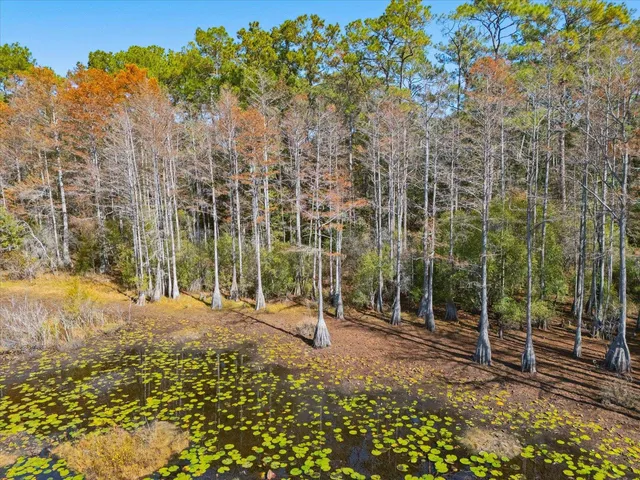 $110,000 | 0 Tram Road, Tallahassee, FL 32311