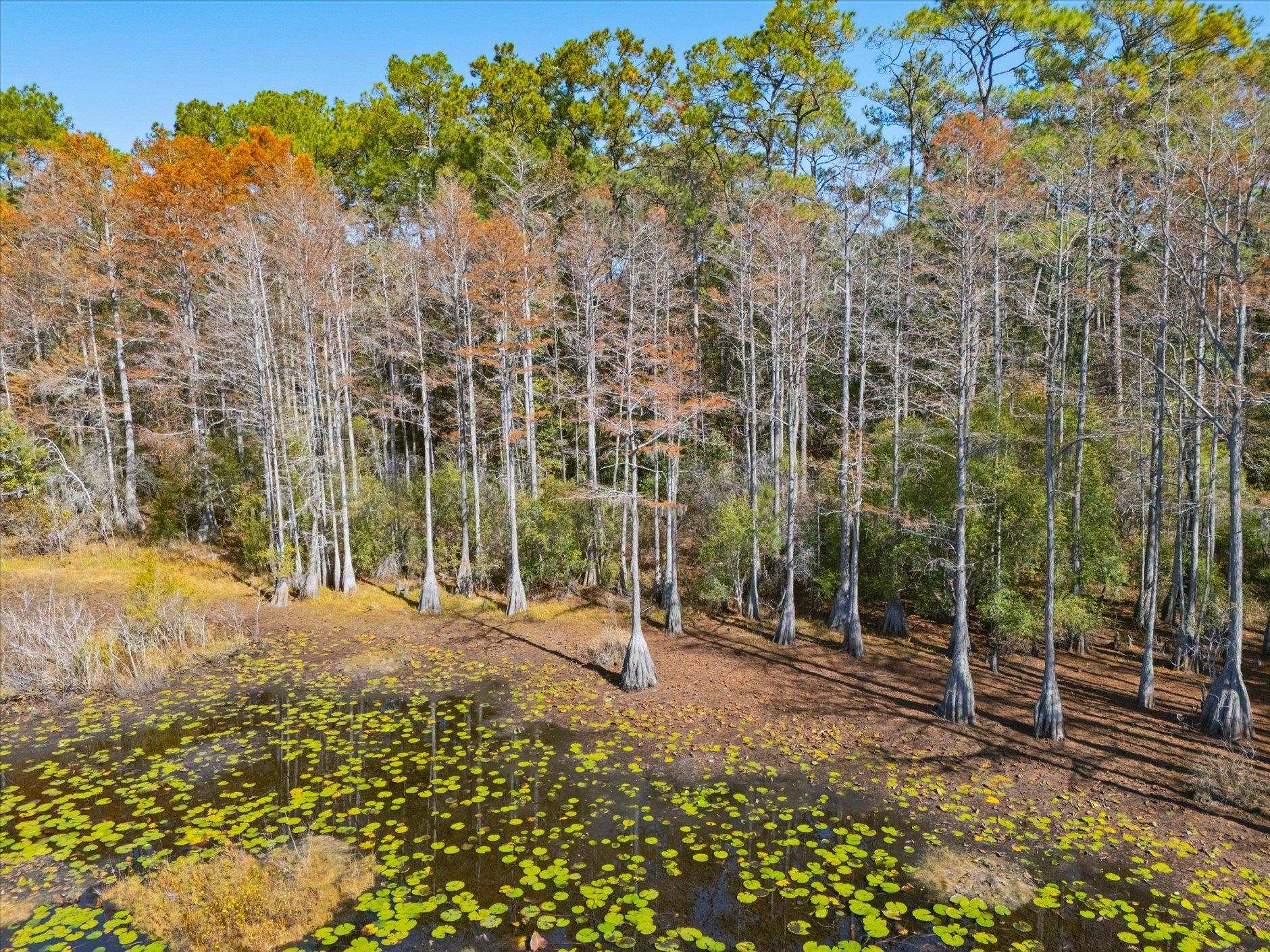 0 Tram Road Tallahassee, FL 32311 - Photo 11 of 13