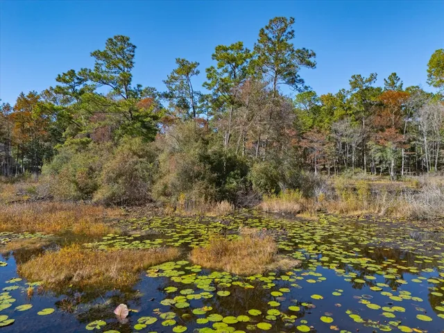 $110,000 | 0 Tram Road, Tallahassee, FL 32311