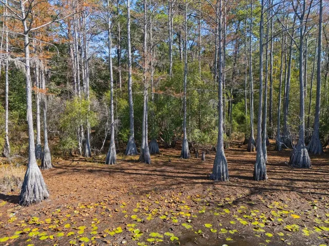 $110,000 | 0 Tram Road, Tallahassee, FL 32311