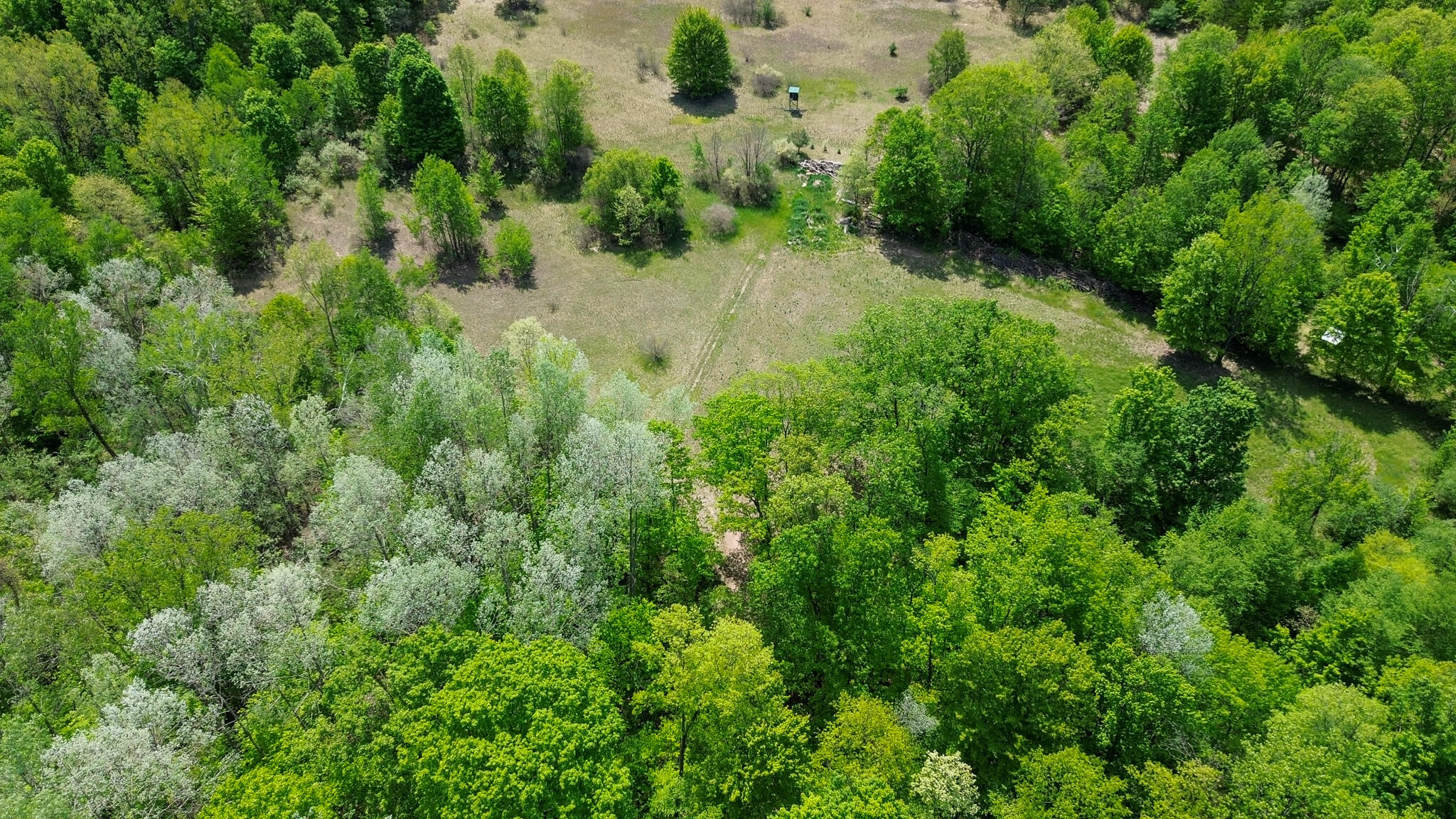4196 West 4 Mile Road White Cloud, MI 49349 - Photo 55 of 65 DJI_0887