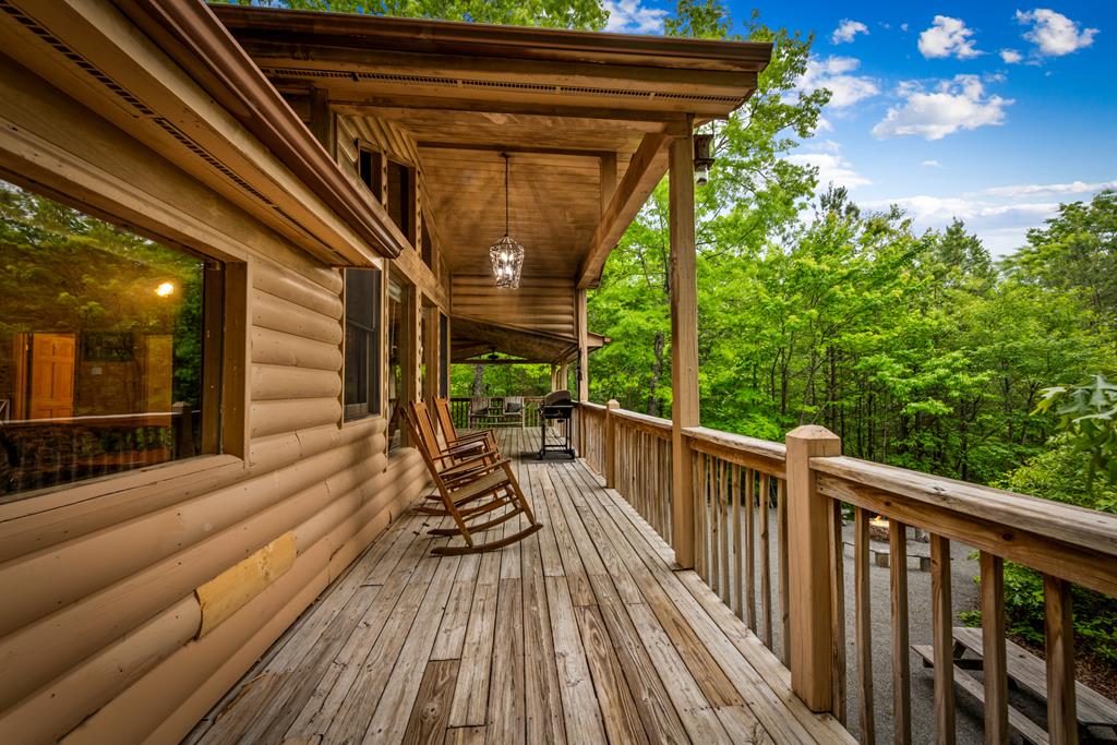 28 Hawkeye Ridge Blue Ridge, GA 30513 - Photo 65 of 104 Gallery Image 65