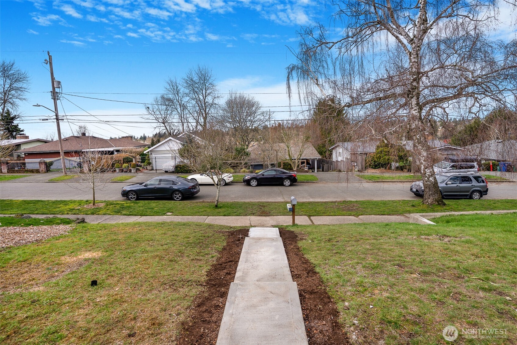 7934 20th Avenue Southwest Seattle, WA 98106 - Photo 19 of 20 a view of a park with large trees