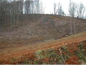 1 Rr Hiltons, VA 24258 - Photo 2 of 4 Photo 2