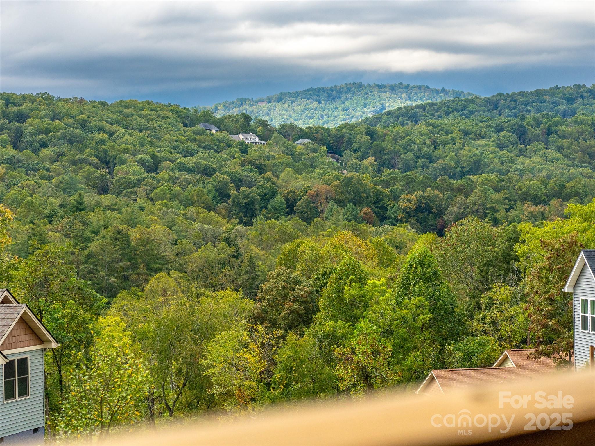 139 Clay Street Fairview, NC 28730 - Photo 5 of 33