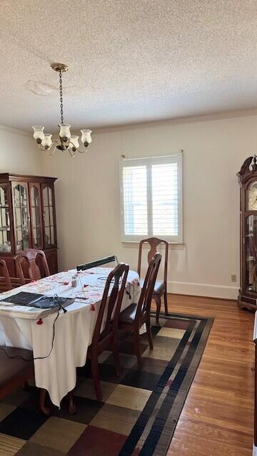 3283 North Road Orangeburg, SC 29118 - Photo 9 of 15 6