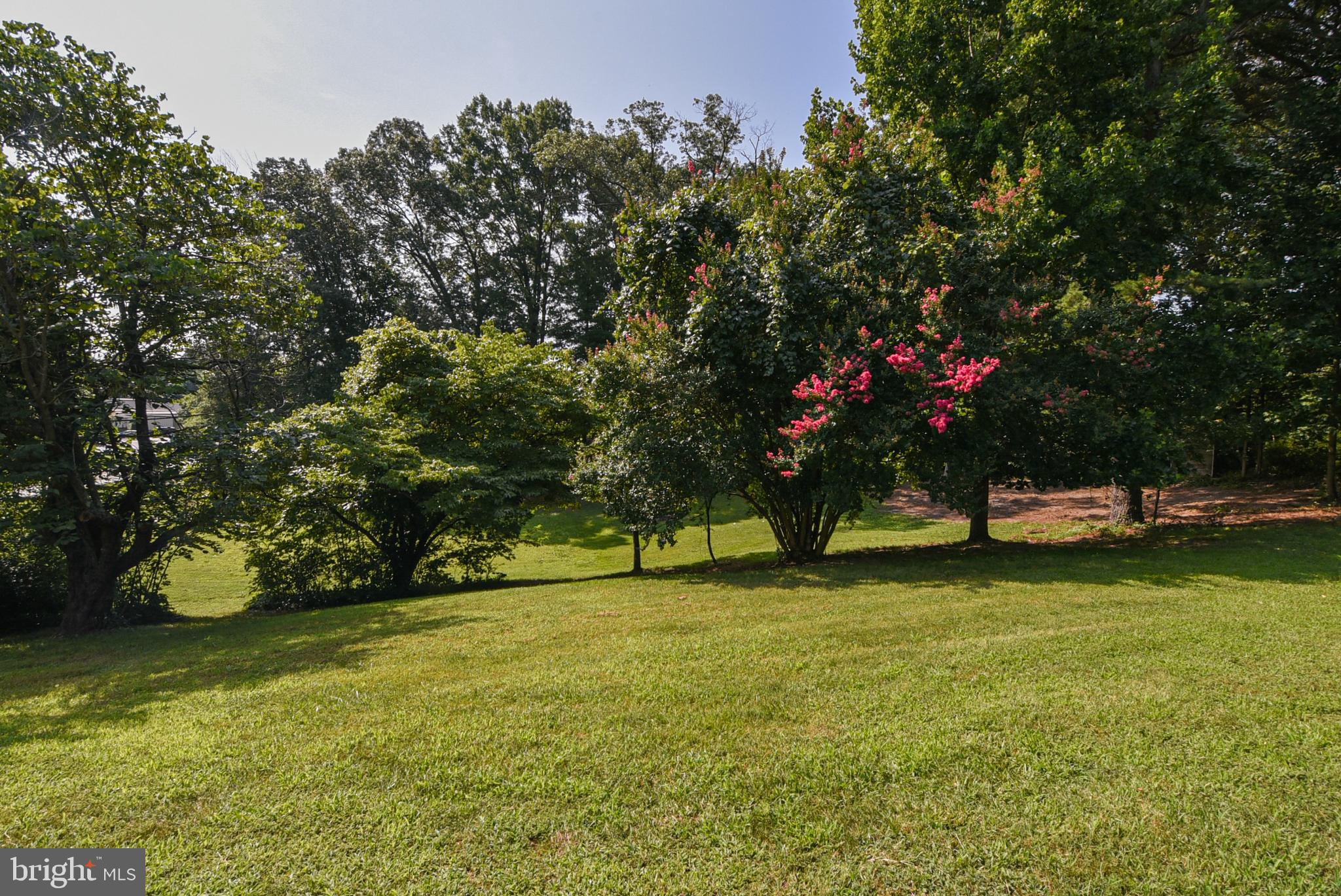0 St Anthonys Road King George, VA 22485 - Photo 3 of 3 Gallery Image 3