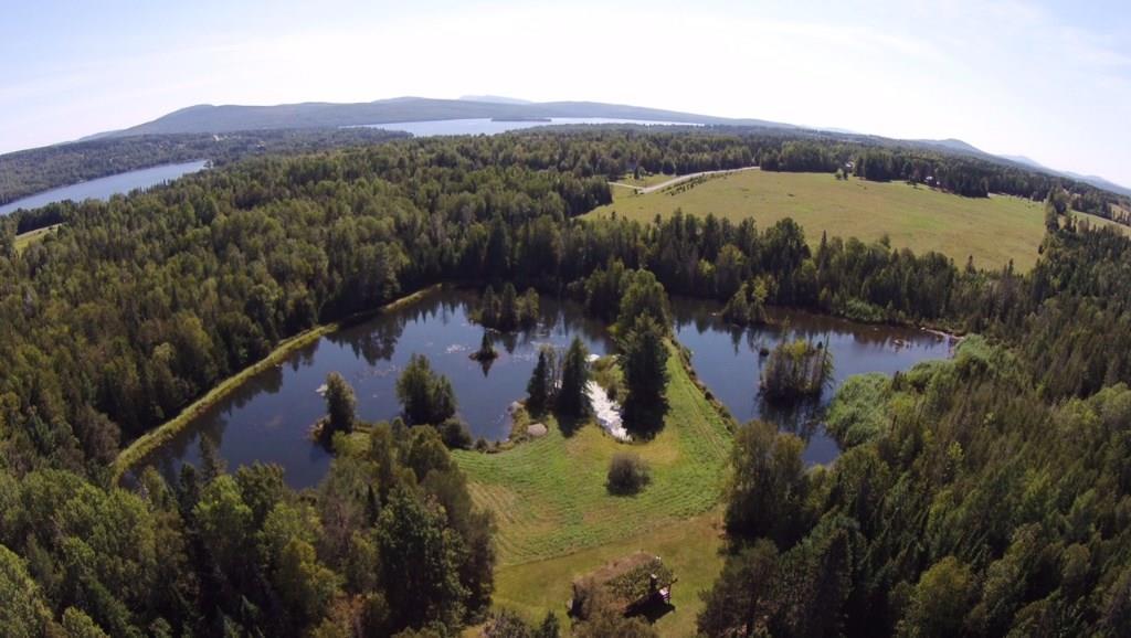 Lot 71 Switzer Road Rangeley, ME 04970 - Photo 3 of 18 Photo