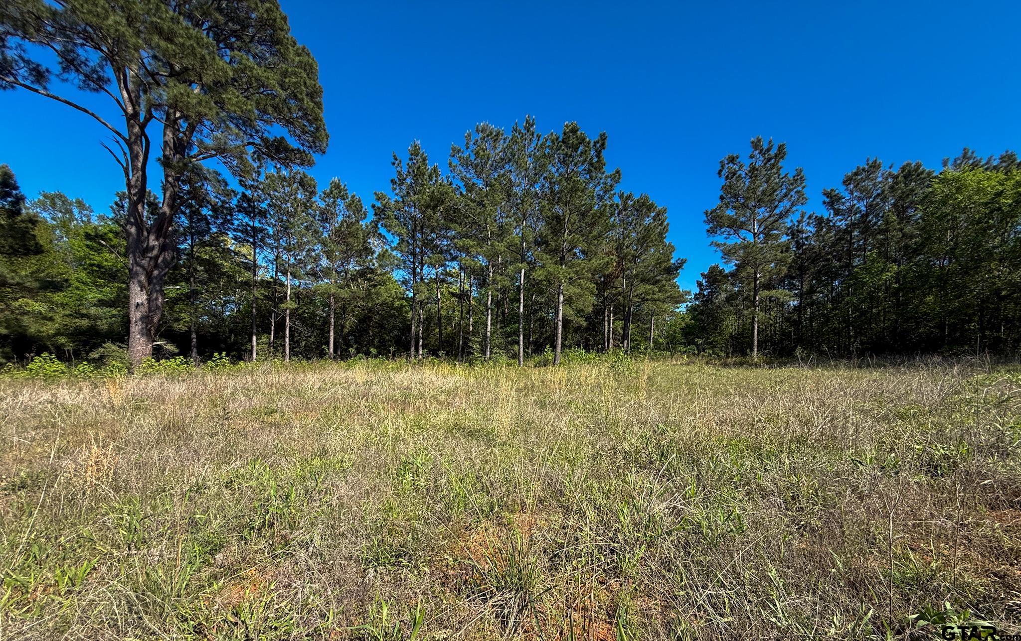 1329 Cr 2112 Rusk Tx 75785 Rusk, TX 75785 - Photo 1 of 11