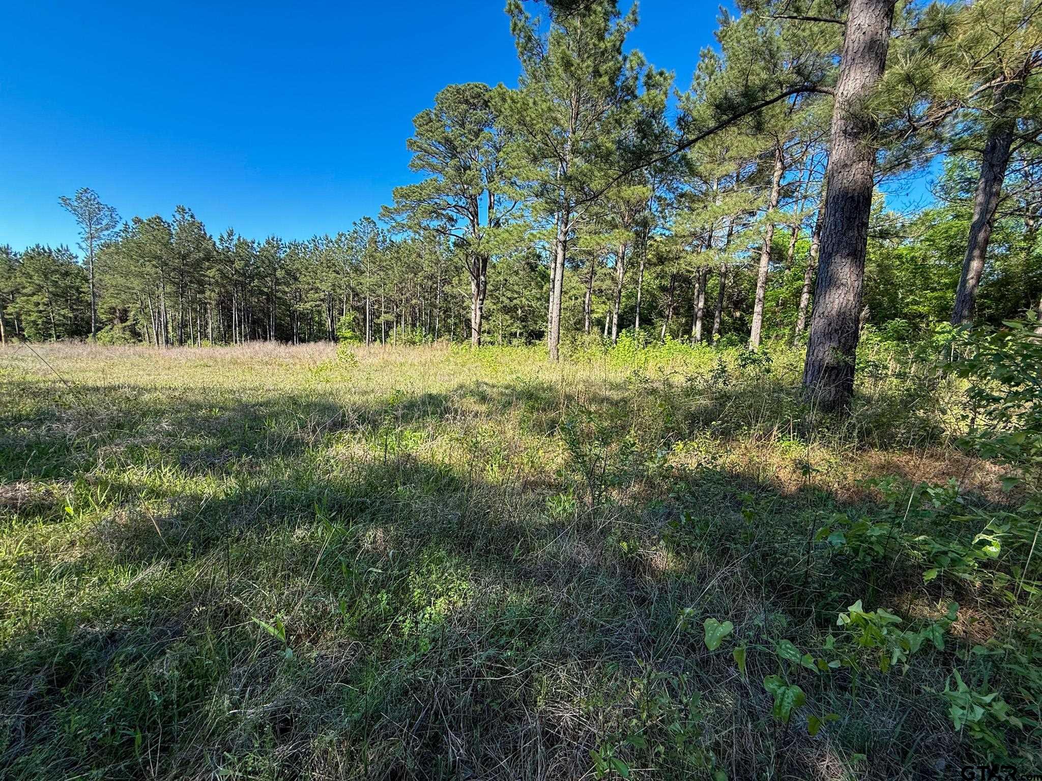 1329 Cr 2112 Rusk Tx 75785 Rusk, TX 75785 - Photo 2 of 11