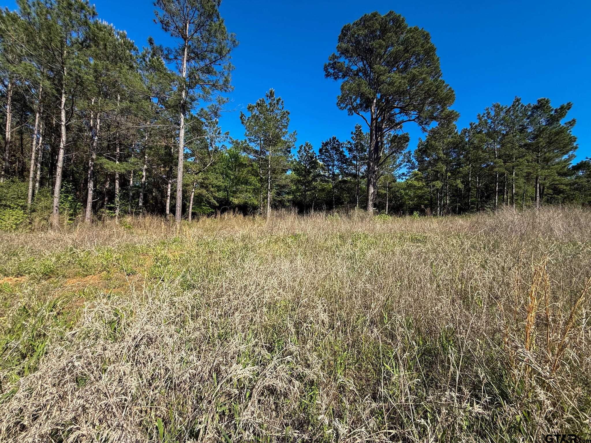 1329 Cr 2112 Rusk Tx 75785 Rusk, TX 75785 - Photo 4 of 11