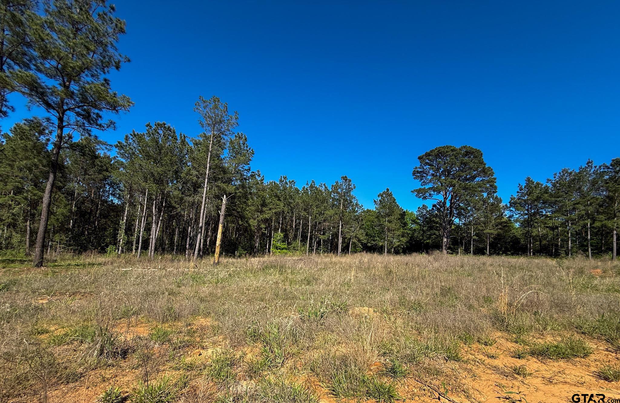 1329 Cr 2112 Rusk Tx 75785 Rusk, TX 75785 - Photo 5 of 11