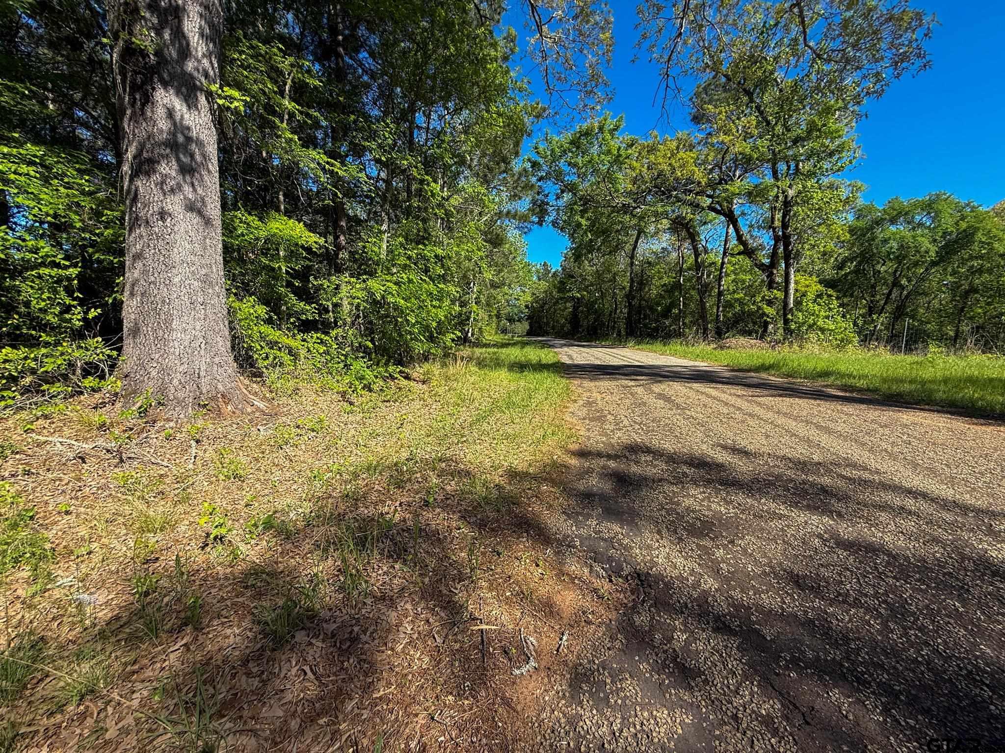 1329 Cr 2112 Rusk Tx 75785 Rusk, TX 75785 - Photo 8 of 11