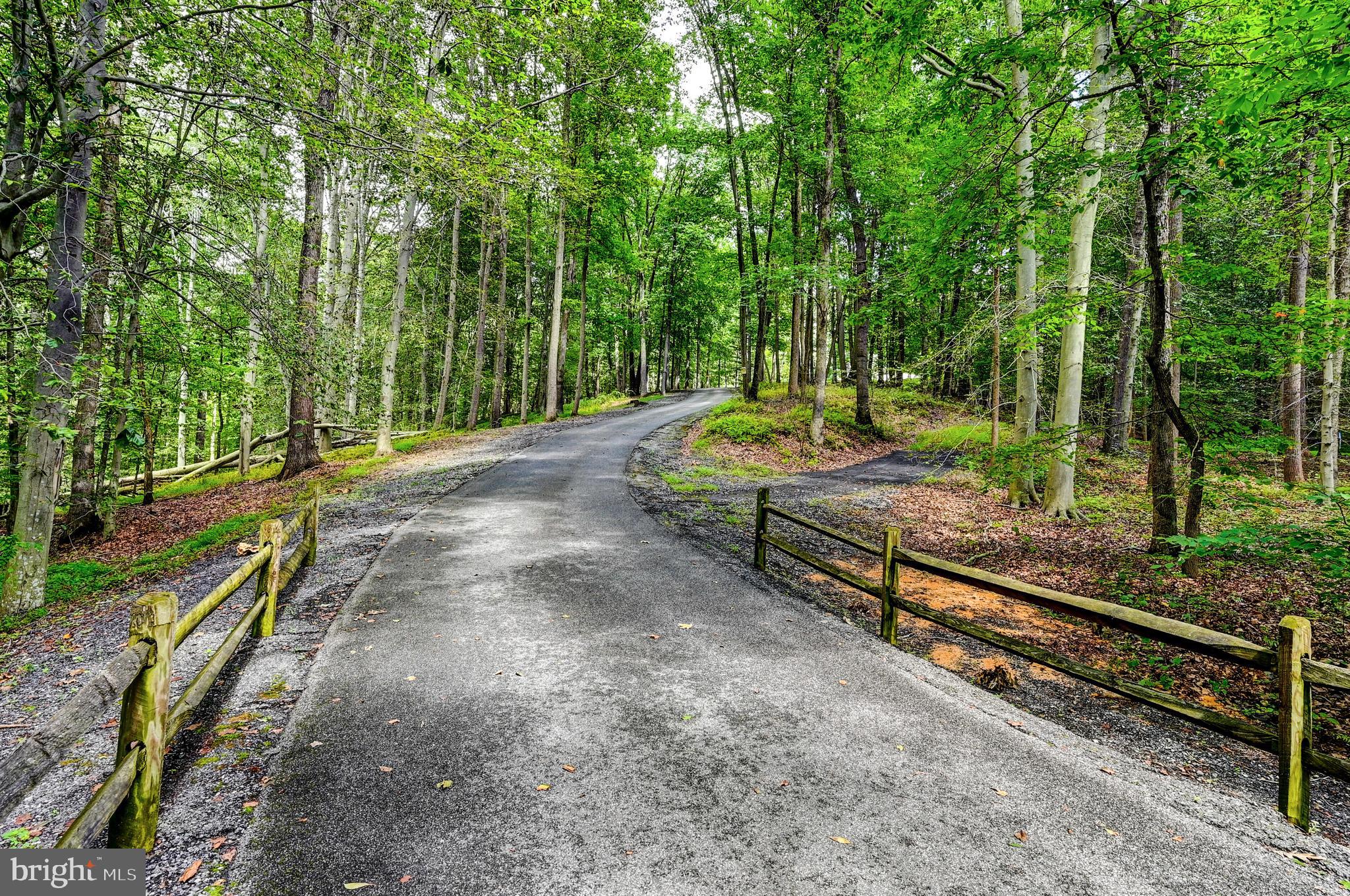 2021 Oakmont Road Fallston, MD 21047 - Photo 47 of 50 a view of a park with large trees