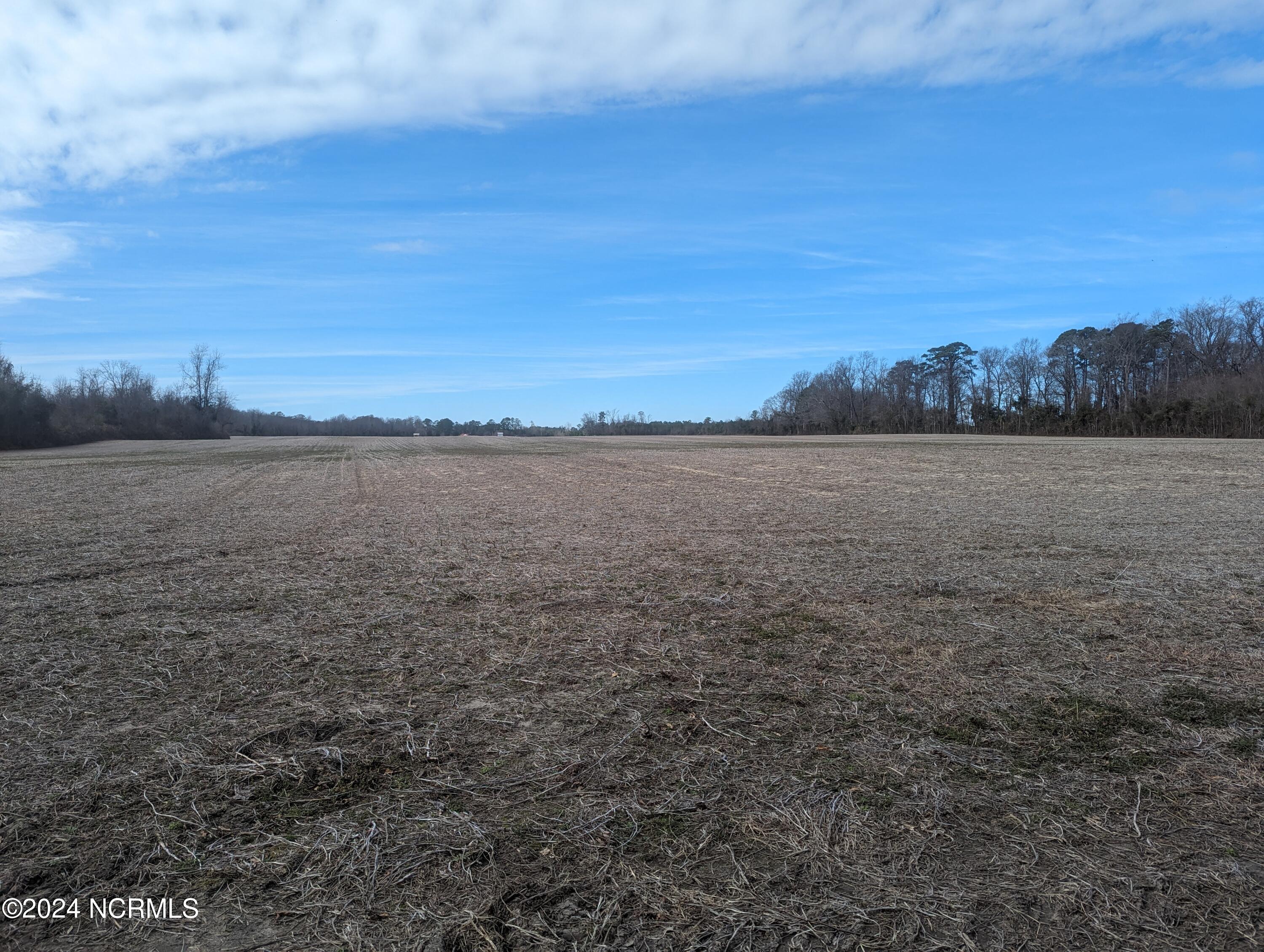 0 Wintergreen Road Cove City, NC 28523 - Photo 69 of 70 PXL_20240205_184013530