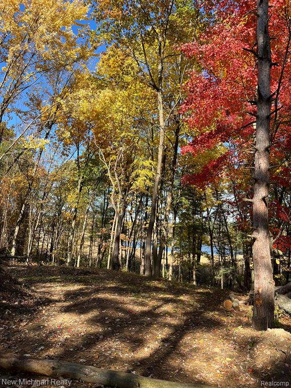 11461 White Lake Road Fenton, MI 48430 - Photo 19 of 33
