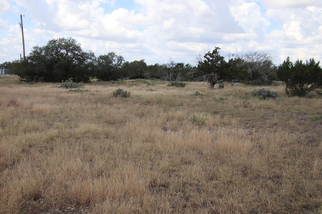 601 Other Rocksprings, TX 78880 - Photo 6 of 9 a view of a field with trees in background