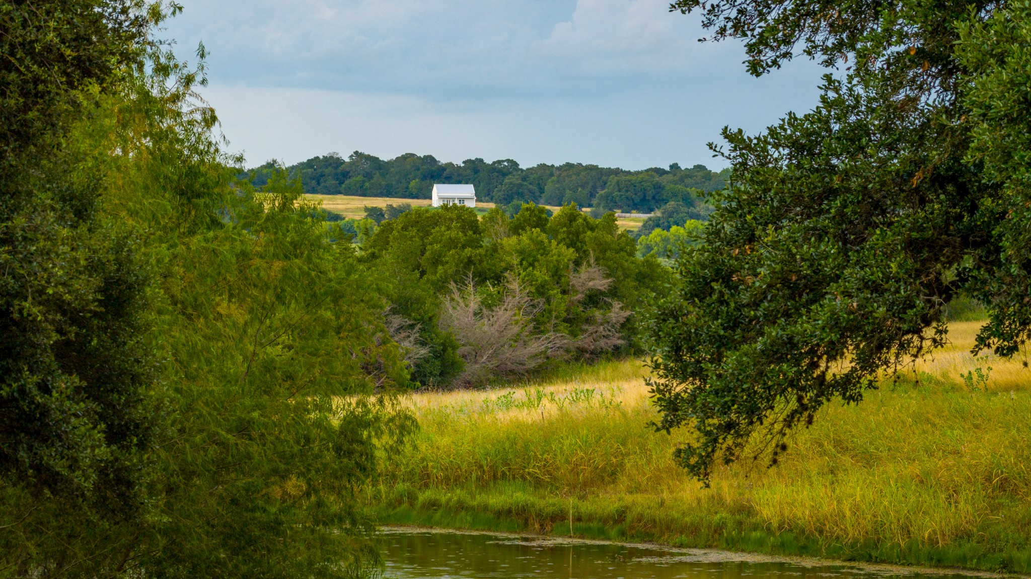 7101 Boehnemann Road Brenham, TX 77833 - Photo 28 of 47