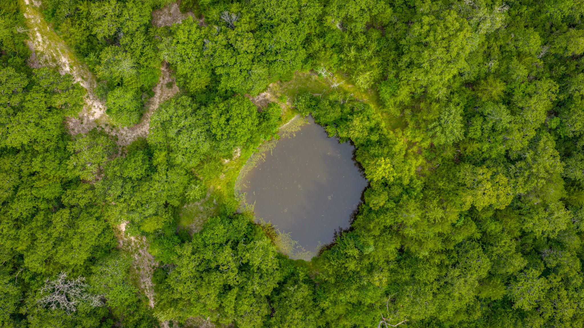 7101 Boehnemann Road Brenham, TX 77833 - Photo 35 of 47