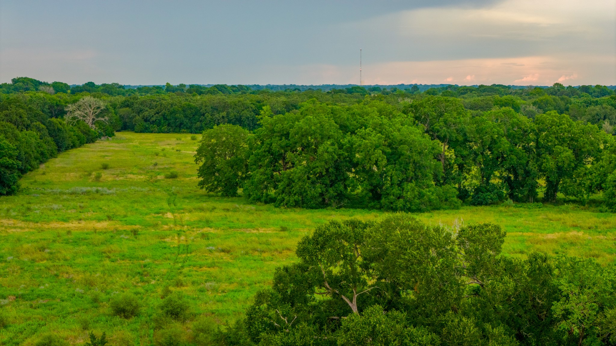 7101 Boehnemann Road Brenham, TX 77833 - Photo 41 of 47