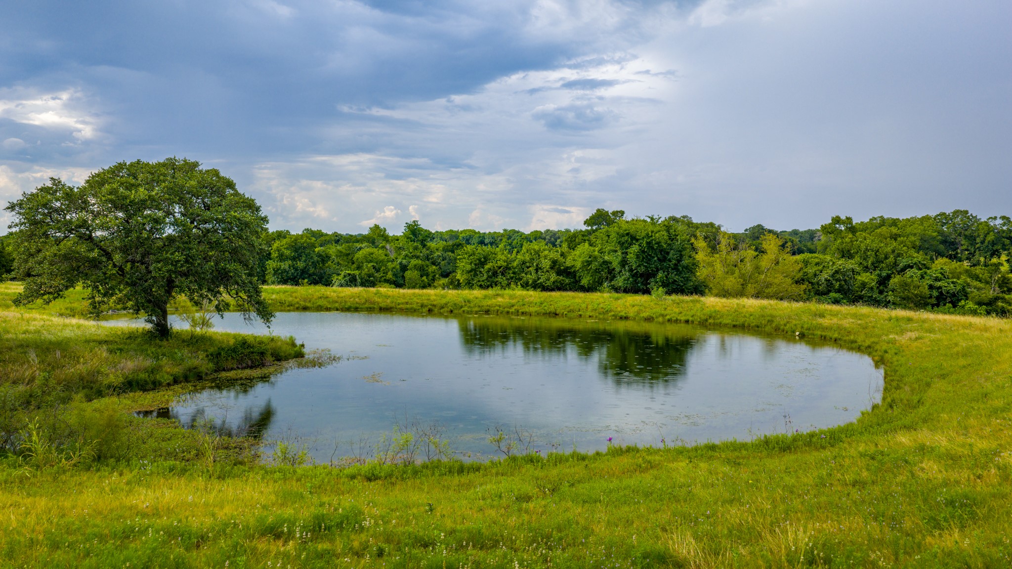 7101 Boehnemann Road Brenham, TX 77833 - Photo 7 of 47