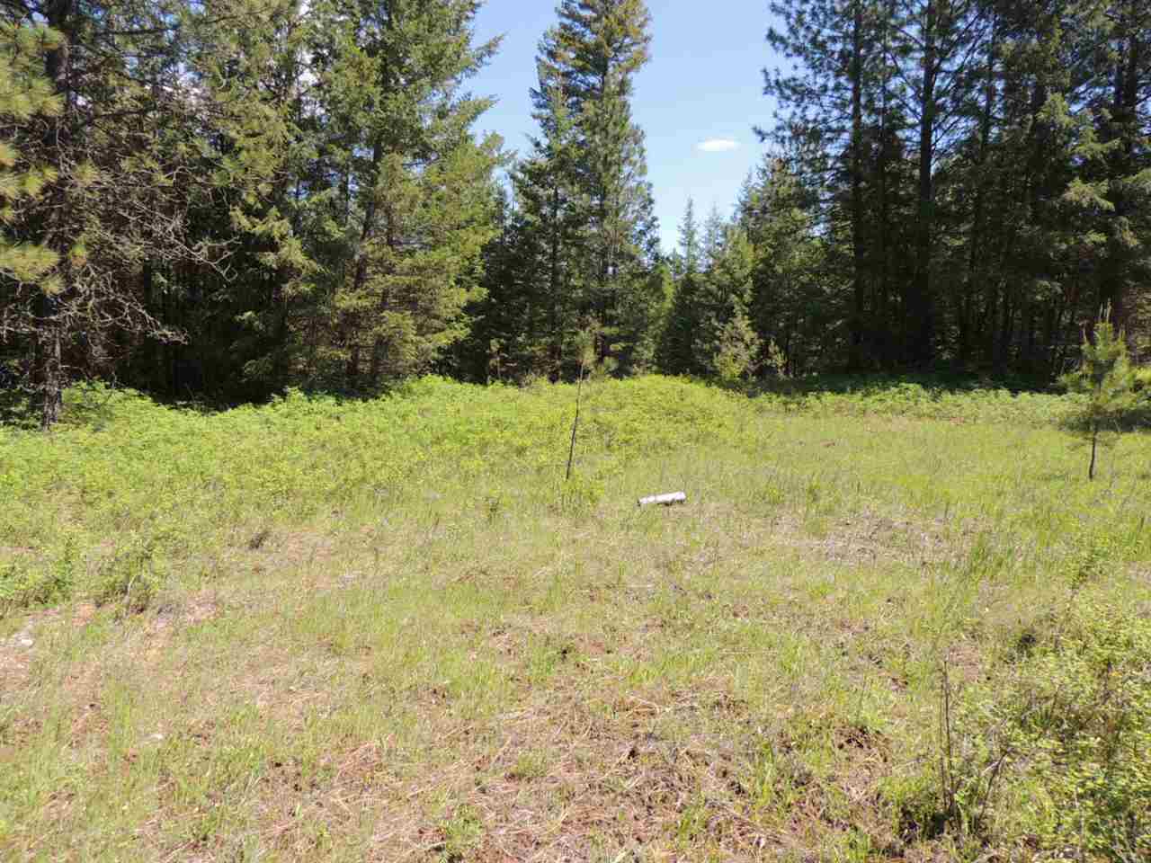 3-xx1 West Jump Off Joe Road Valley, WA 99181 - Photo 1 of 5