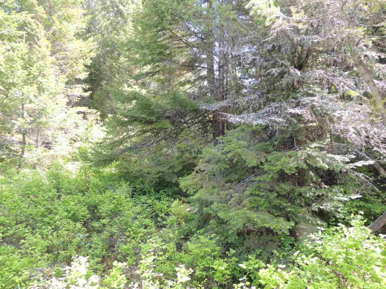 3-xx1 West Jump Off Joe Road Valley, WA 99181 - Photo 3 of 5