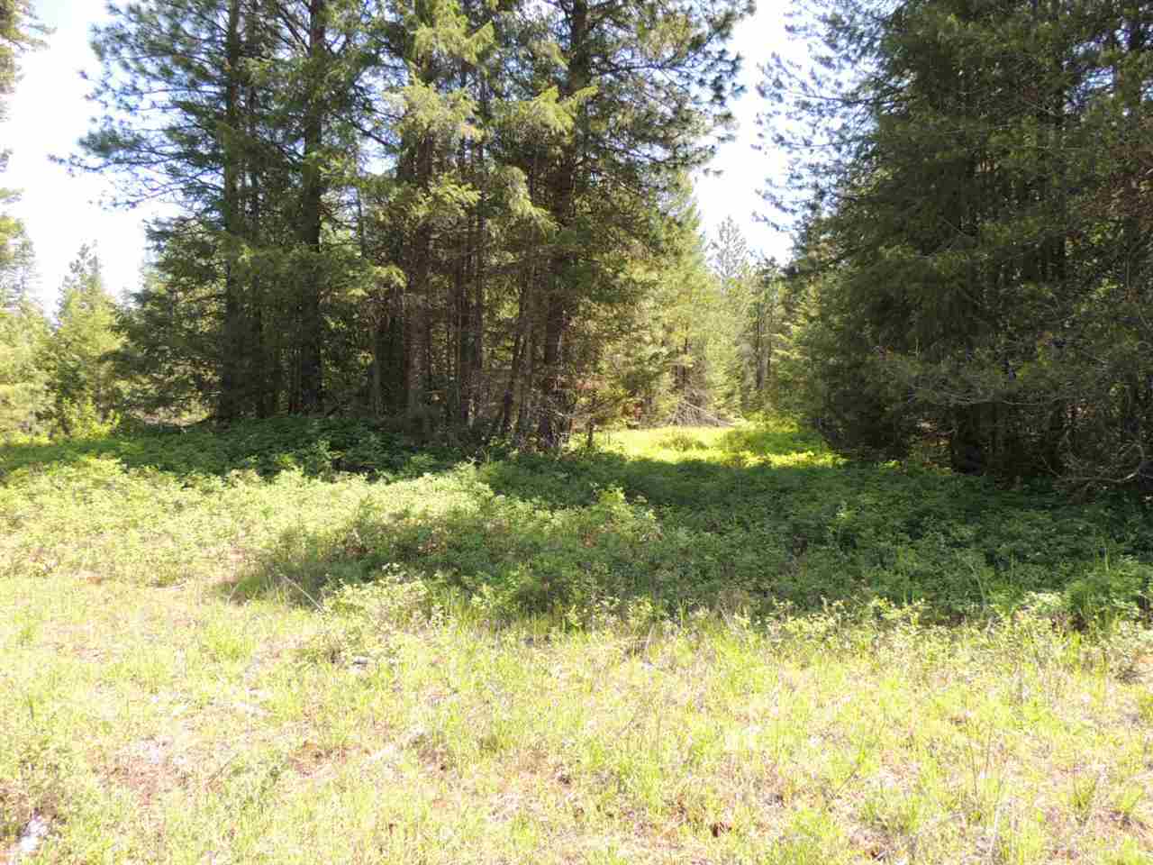 3-xx1 West Jump Off Joe Road Valley, WA 99181 - Photo 4 of 5