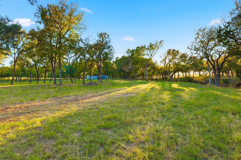 2401 Bear Creek Road Aledo, TX 76008 - Photo 8 of 37 View of yard