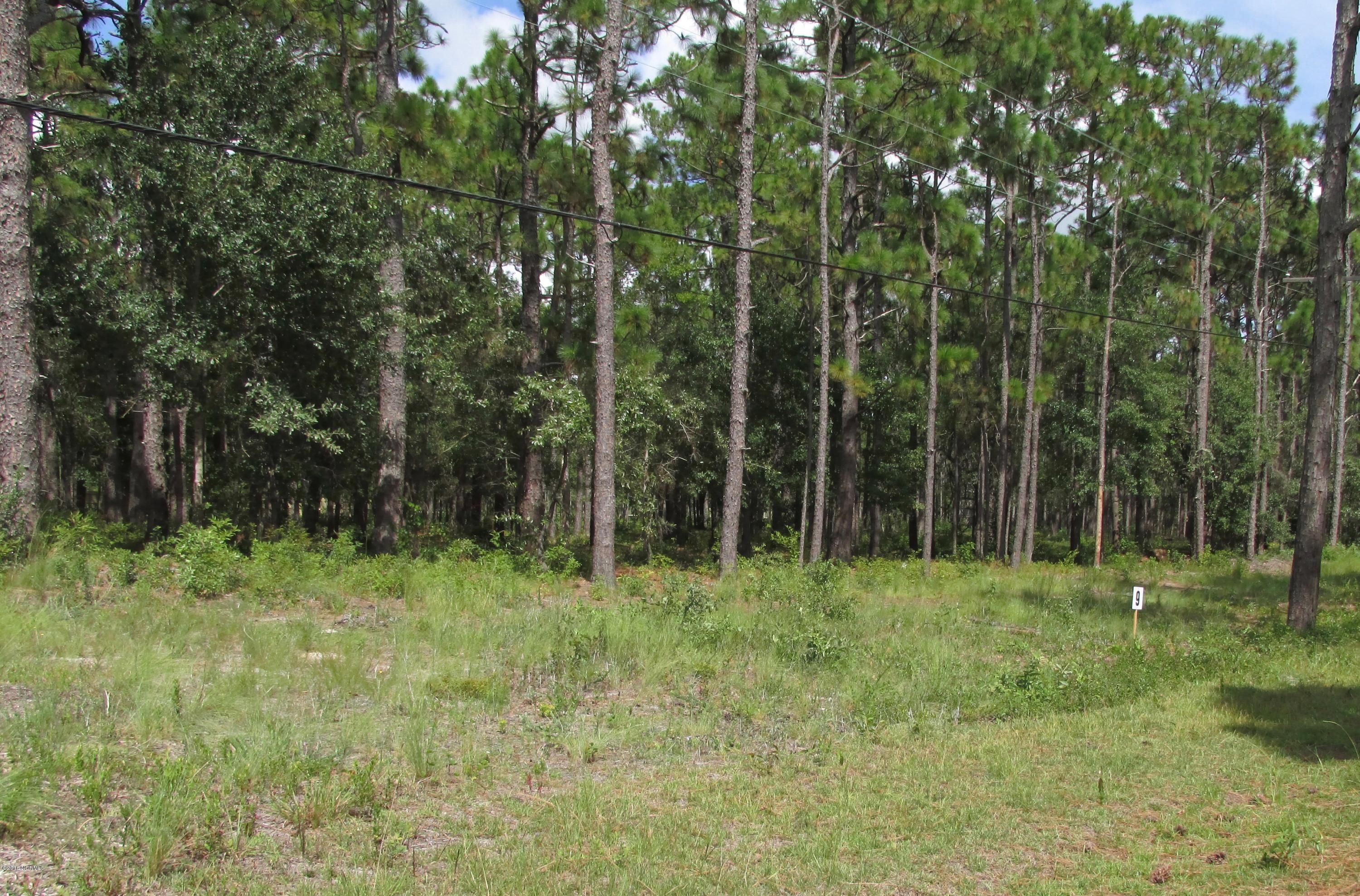 320 George Taylor Road Newport, NC 28570 - Photo 1 of 4 IMG_3116