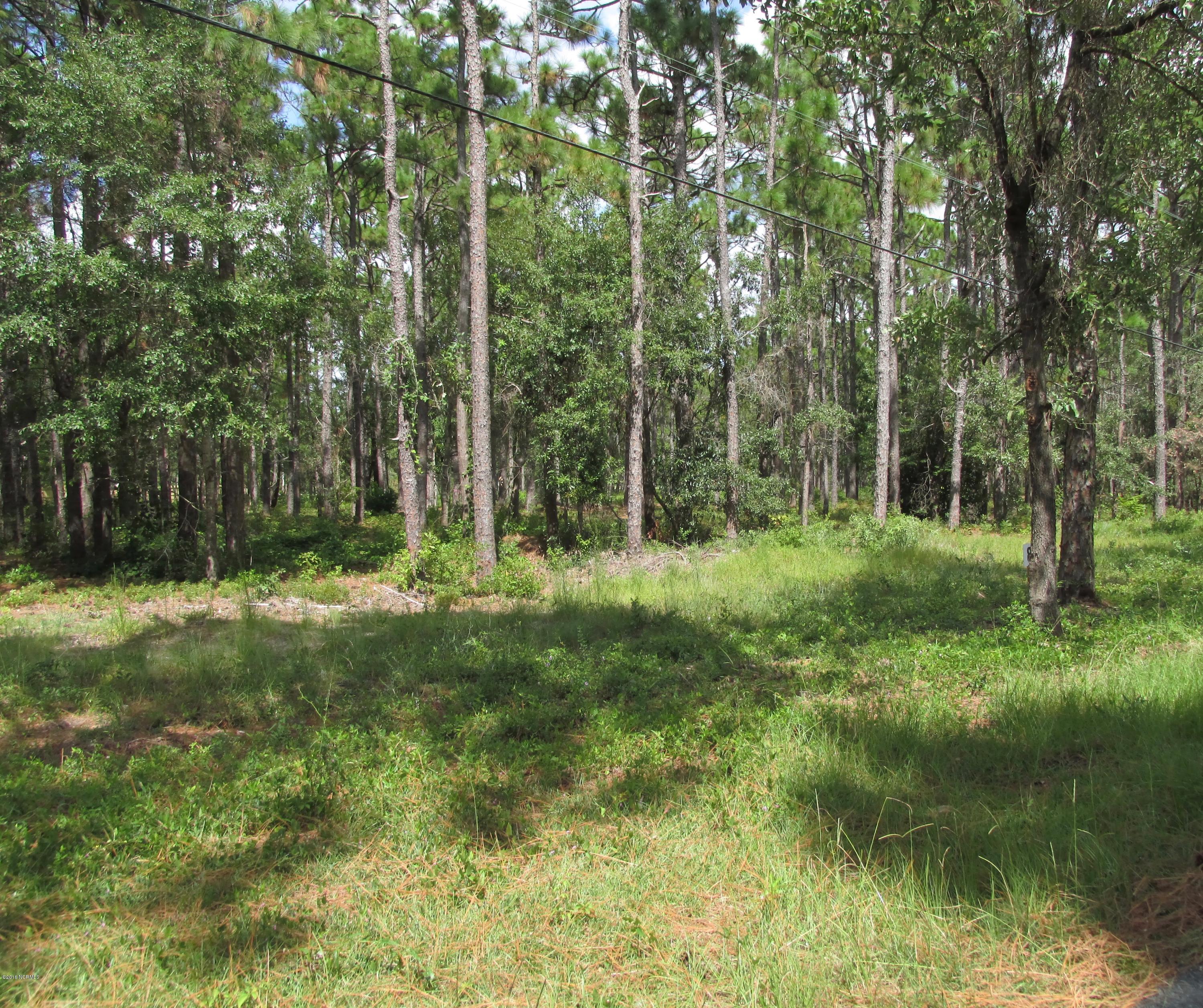 320 George Taylor Road Newport, NC 28570 - Photo 2 of 4 IMG_3118