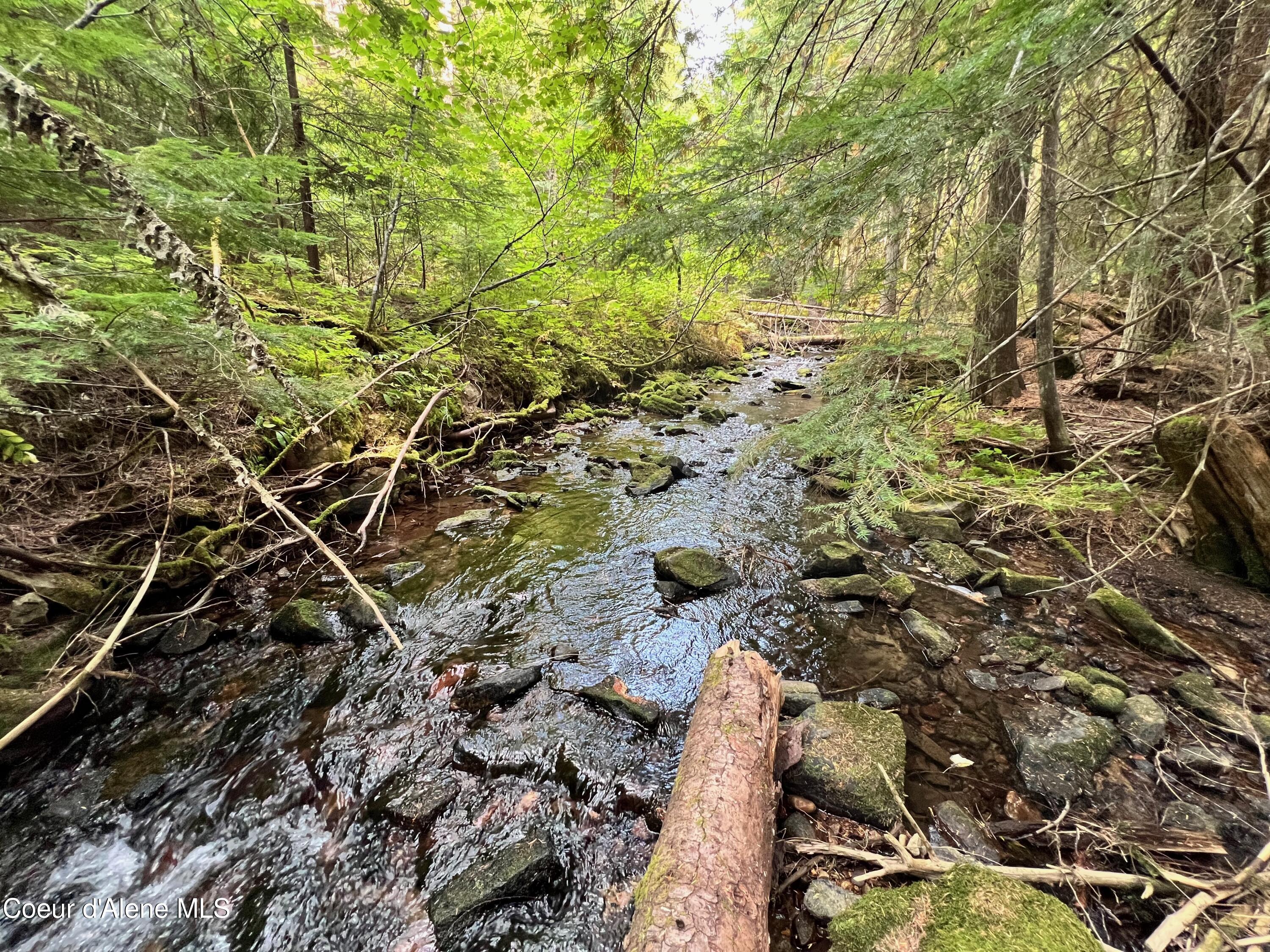 720 White Pine Way Fernwood, ID 83830 - Photo 1 of 1 Crystal Creek