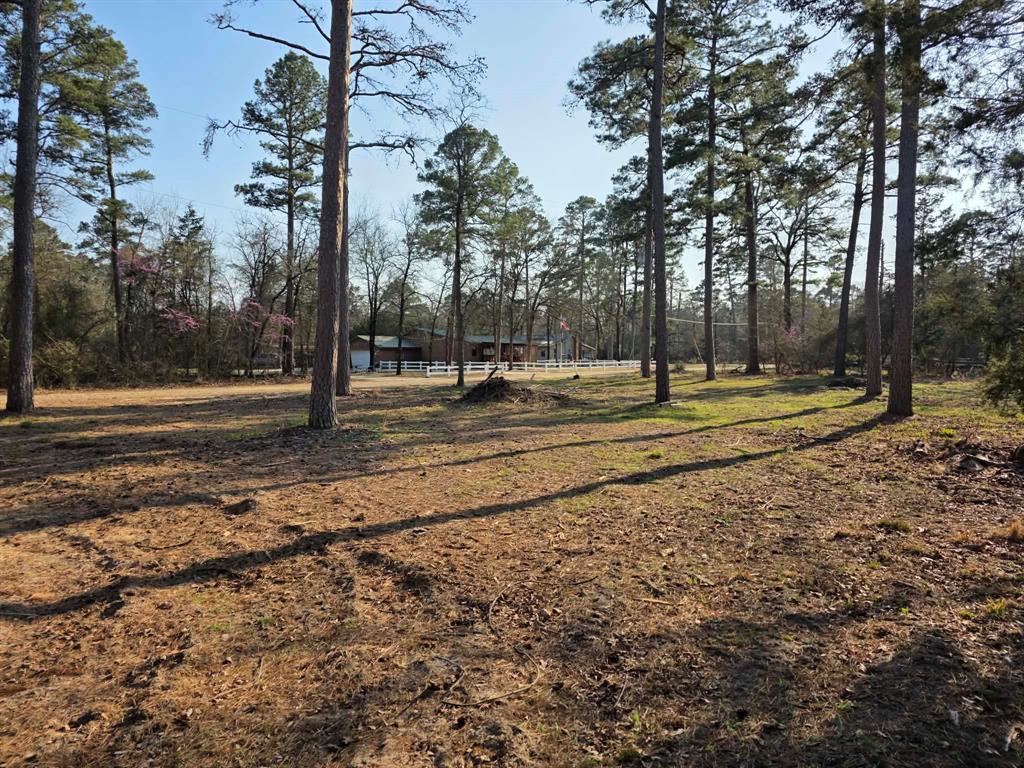 Lot 36-37 King Charles Road Scroggins, TX 75480 - Photo 2 of 14 a backyard of apartments with trees