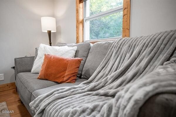 814 Gnatty Branch Road Sevierville, TN 37876 - Photo 9 of 30 Gallery Image 9