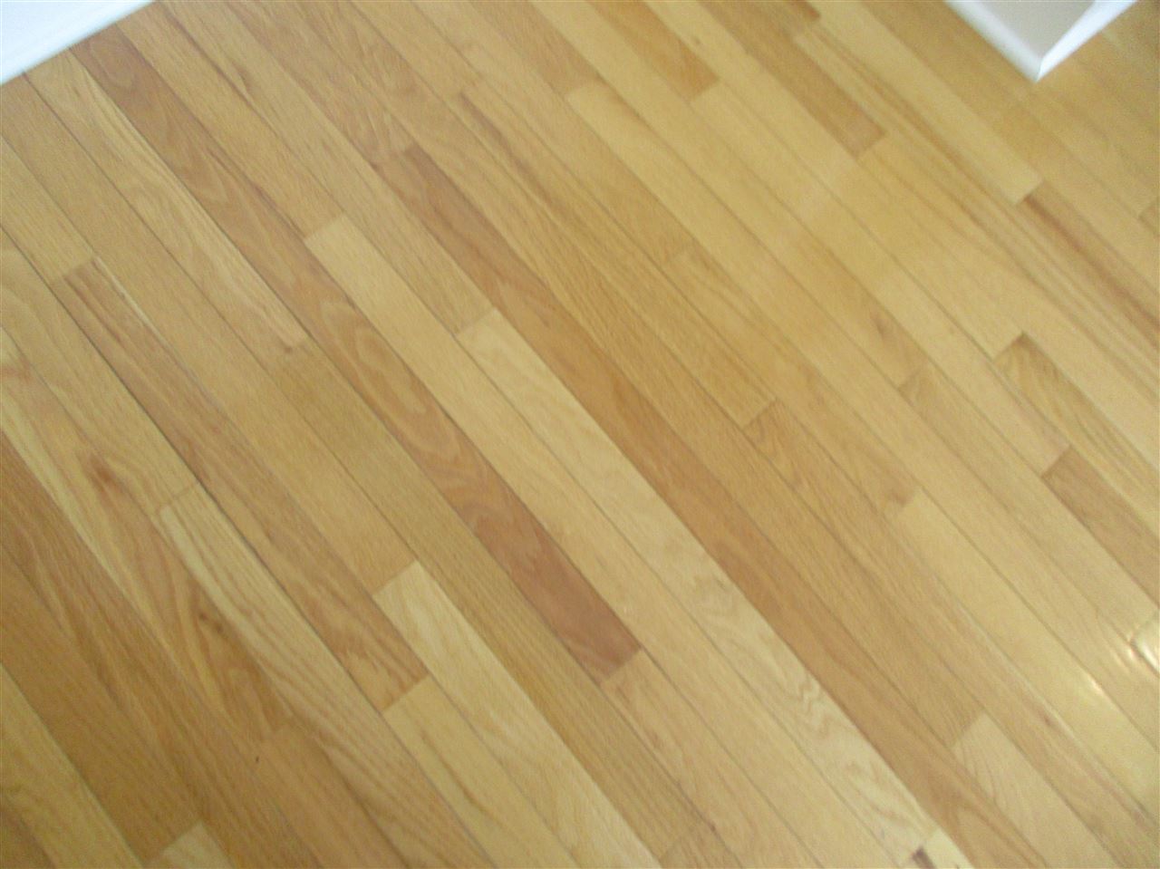 2655 Runway Road Frankfort, MI 49635 - Photo 23 of 39 1846789-22.JPG