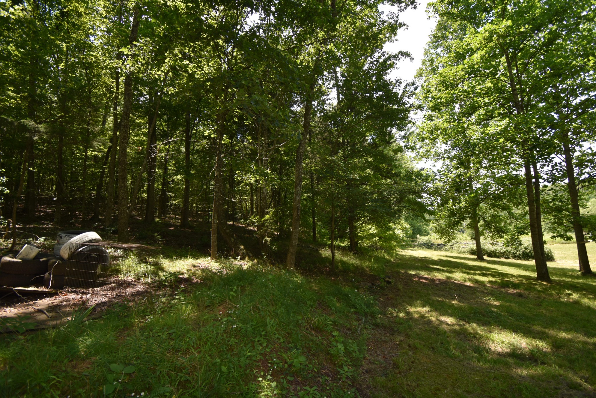 248 Sumac Road Linden, TN 37096 - Photo 11 of 22 Gallery Image 11
