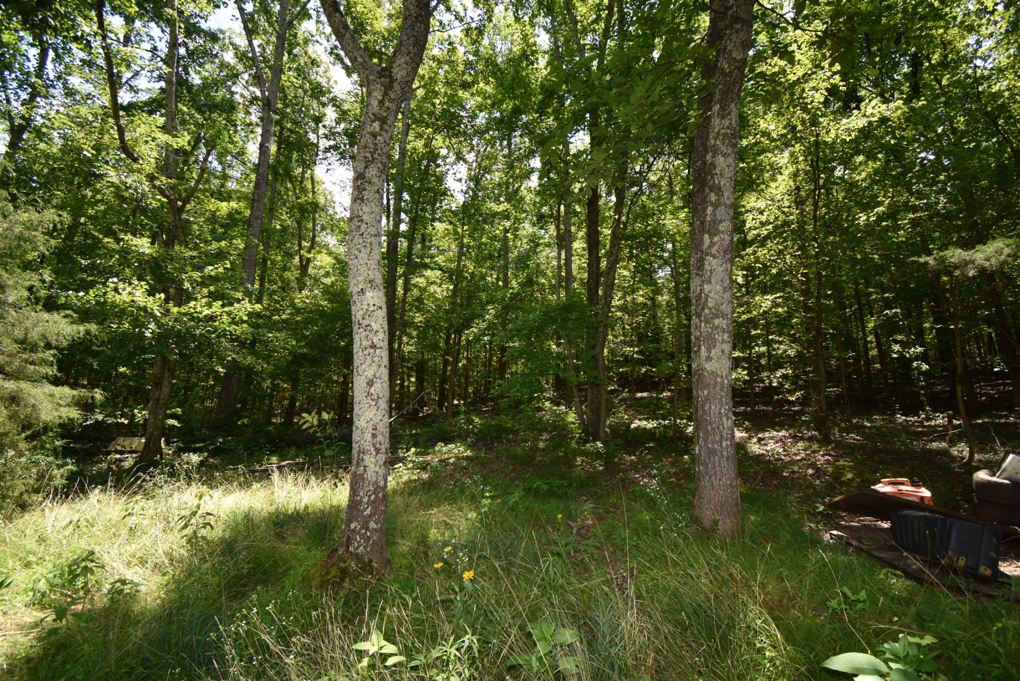 248 Sumac Road Linden, TN 37096 - Photo 10 of 22 Gallery Image 10