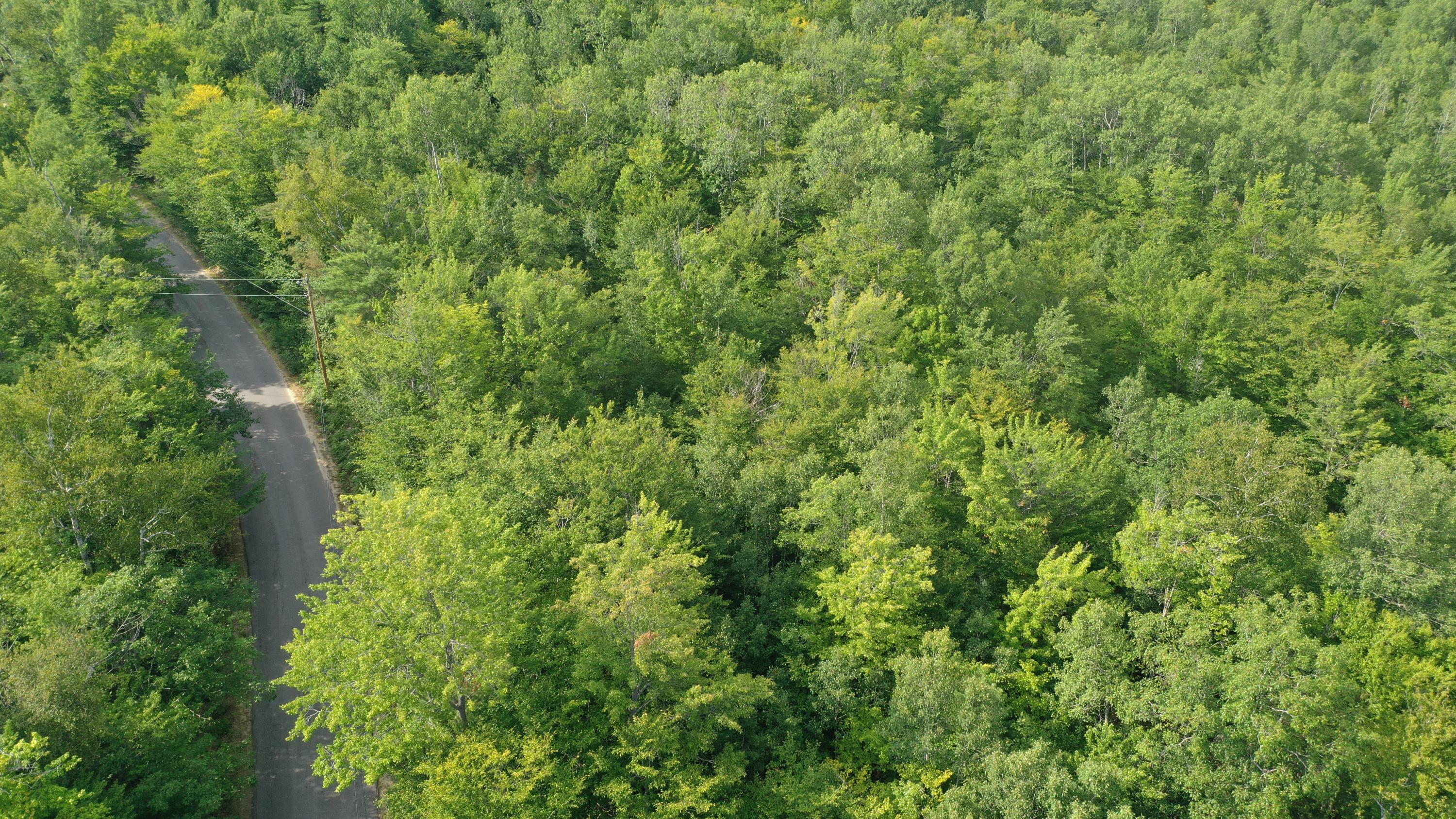 377 B Redding Road Sumner, ME 04292 - Photo 29 of 31 DJI_0895