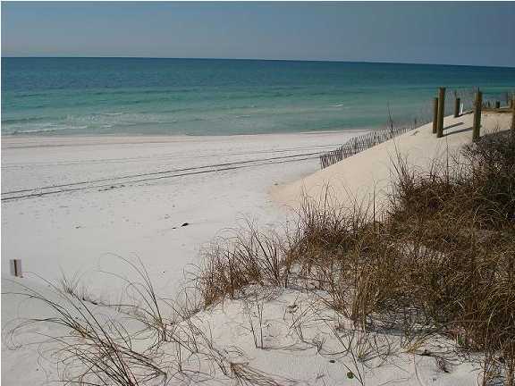 420 Blue Mountain Road Santa Rosa Beach, FL 32459 - Photo 3 of 6 a view of a backyard